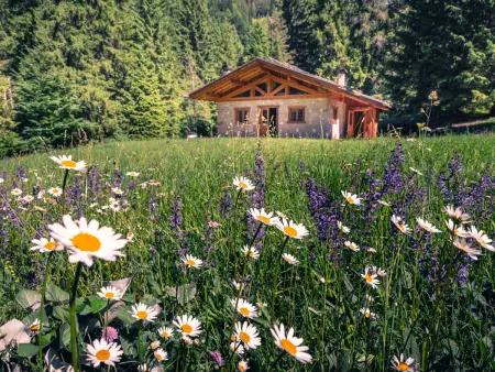 Baita Valon Alpine Hideaway, Chalet 6 personnes à Terme di Comano - Photo 25