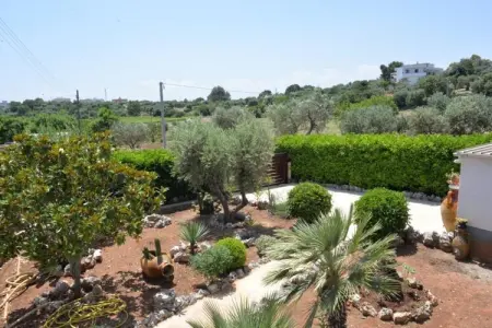 Trullo Cittadino Cisternino, Maison en Apulie avec piscine et terrasse - Photo 3