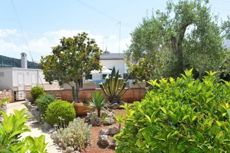 Trullo Cittadino Cisternino, Maison en Apulie avec piscine et terrasse - Photo 22