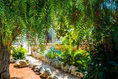 Trullo Cittadino Cisternino, Maison en Apulie avec piscine et terrasse - Photo 25