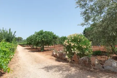 Trullo Filippo Ostuni, Maison de Vacances à Valle d'Itria avec Piscine - Photo 47