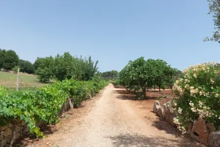 Trullo Filippo Ostuni, Maison de Vacances à Valle d'Itria avec Piscine - Photo 48