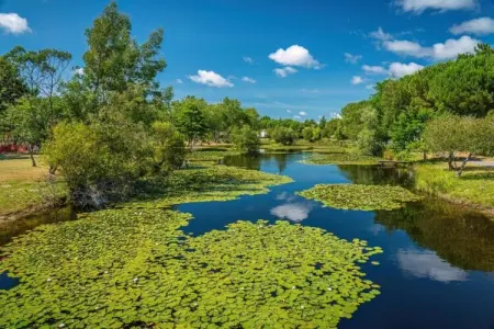 Résidence Le Petit Pont 3, Maisonette au bord du lac Hourtin-Carcans - Photo 15