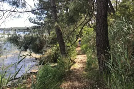 Résidence Le Petit Pont 3, Maisonette au bord du lac Hourtin-Carcans - Photo 18
