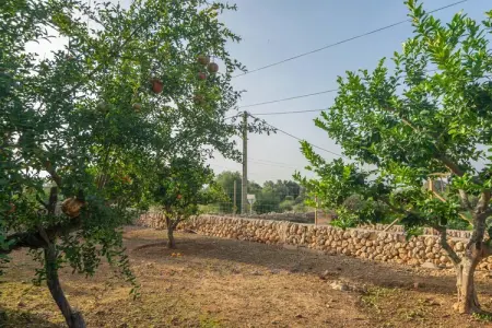 Son Indiot, Villa à Algaida avec piscine privée et golf - Photo 6