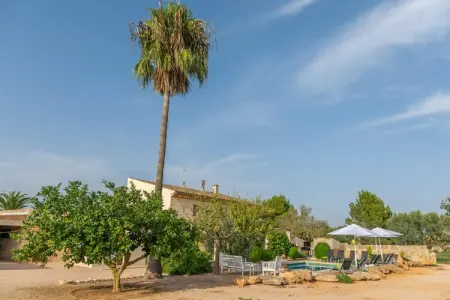 Son Indiot, Villa à Algaida avec piscine privée et golf - Photo 7