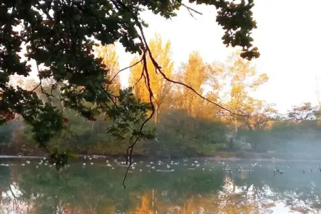 Appartement avec piscine, Maison à Gargas avec piscine et nature - Photo 25