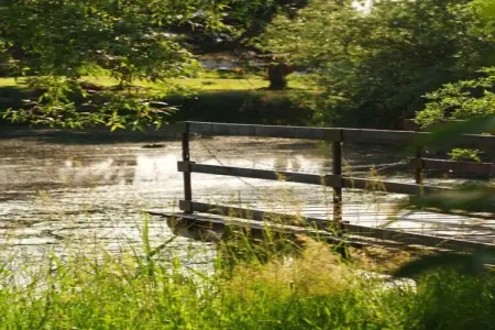 Appartement avec piscine, Maison à Gargas avec piscine et nature - Photo 29
