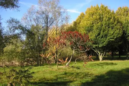 Appartement avec piscine, Maison à Gargas avec piscine et nature - Photo 30