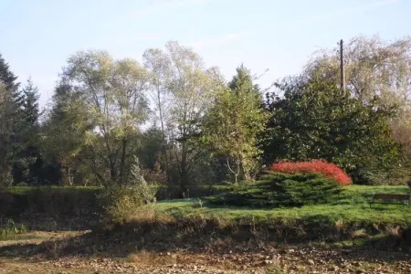 Appartement avec piscine, Maison à Gargas avec piscine et nature - Photo 31
