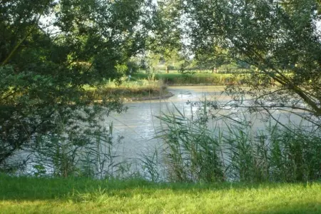 Appartement avec piscine, Maison à Gargas avec piscine et nature - Photo 34