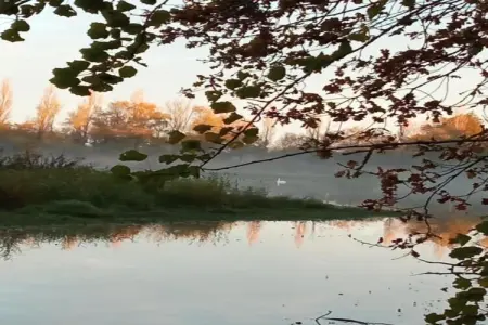 Appartement avec piscine, Maison à Gargas avec piscine et nature - Photo 36