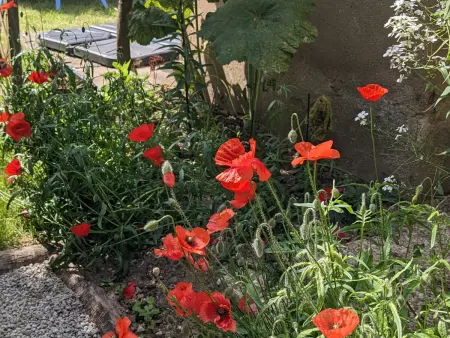 Maison charmante près de la ville, Gite 6 personnes à La Flèche - Photo 20
