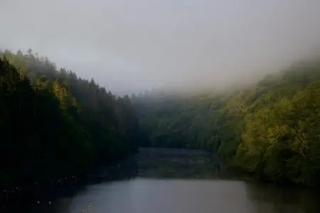 De Eekhoorn, Escapade en forêt près du lac - Photo 32