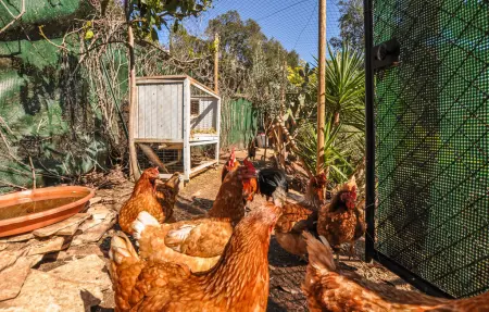 Belle maison en pleine nature, Maison 8 personnes à Fréjus - Photo 27