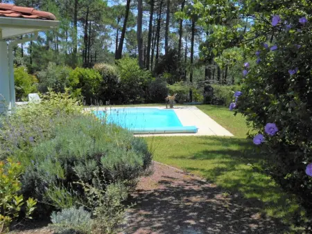 Eden Parc, Maison 6 personnes à Lacanau - Photo 17