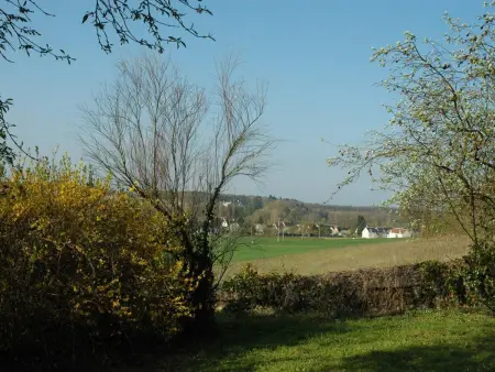 Charmante demeure du 17e en Touraine avec piscine privative - Photo 20