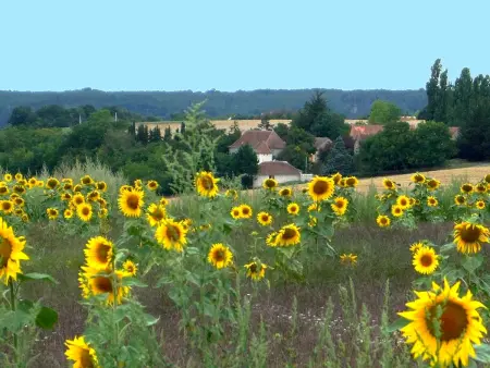 Charmante demeure du 17e en Touraine avec piscine privative - Photo 21