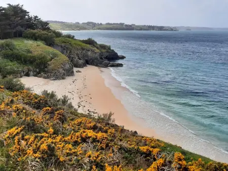 Maison lumineuse en pleine nature à 800 m de la mer - Photo 17