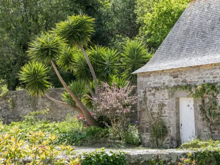 Zenaïde, Gite 2 personnes à Concarneau - Photo 22