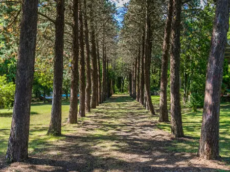 Villa Alari, Maison 14 personnes à Cetona - Photo 31