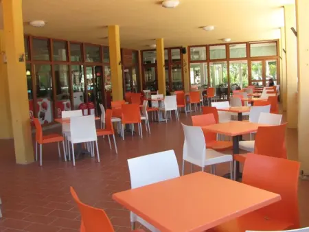 Camping Free Beach, Maison 6 personnes à Marina di Bibbona - Photo 16