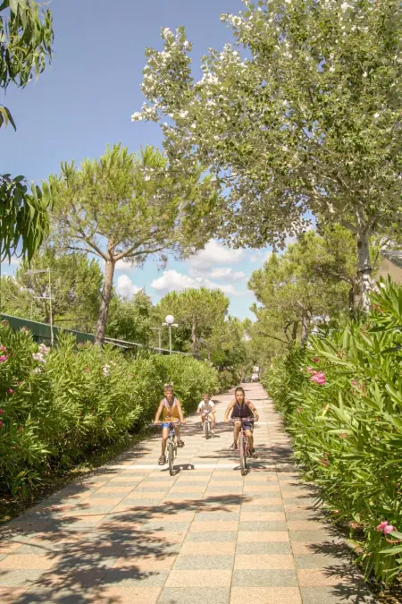 Camping Free Beach, Maison 6 personnes à Marina di Bibbona - Photo 22