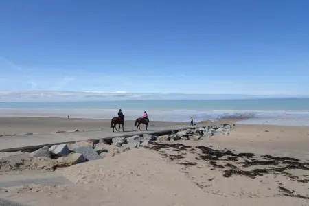 Ferienhaus Donville-les-Bains, Maison près de la plage Donville-les-Bains - Photo 19
