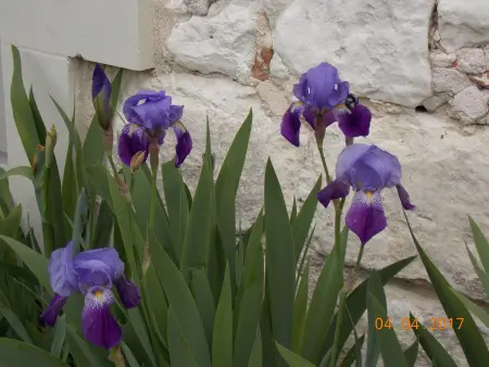 Gîte confortable à Huismes, proche de Chinon avec cour fermée - Photo 28