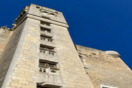 La Chauffarderie, Belle maison de vacances avec piscine - Photo 34
