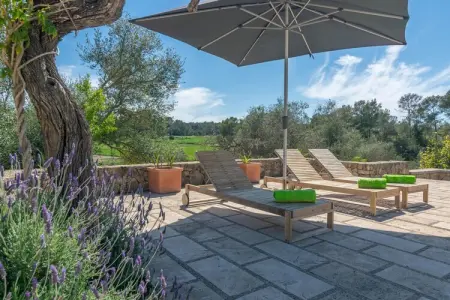 Hortella (ecofinca), Villa en Espagne avec piscine privée - Photo 25