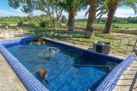 Hortella (ecofinca), Villa en Espagne avec piscine privée - Photo 35