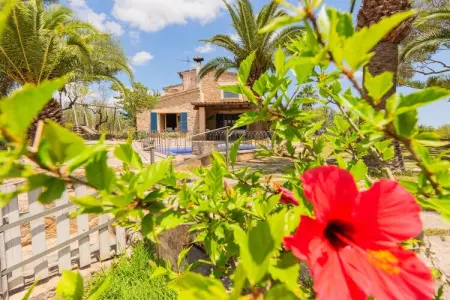Hortella (ecofinca), Villa en Espagne avec piscine privée - Photo 37