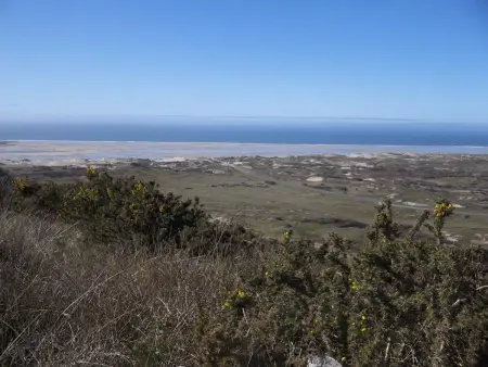 Maison indépendante plain-pied proche dunes, animaux admis - Photo 19
