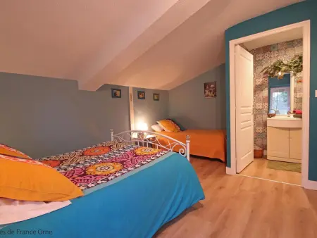 Grande maison familiale avec jardin et animaux acceptés près de la voie verte - Photo 12