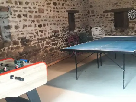 Grande maison familiale avec jardin et animaux acceptés près de la voie verte - Photo 32