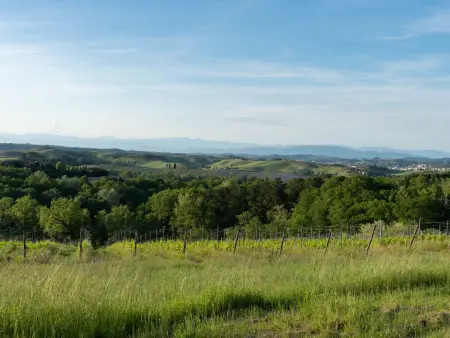 Villa Oliva, Villa 10 personnes à Gambassi Terme - Photo 46