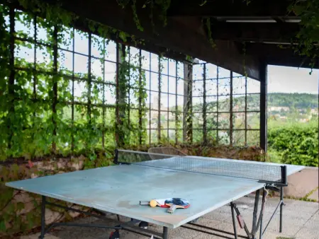 Mas de la Peirouard, Villa avec climatisation, jardin et piscine - Photo 24