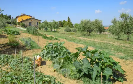 Maison 8 personnes à Cortona - Photo 43