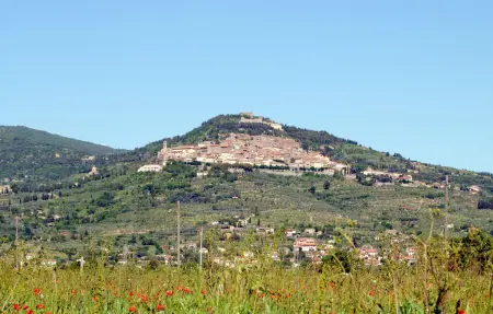 Maison 8 personnes à Cortona - Photo 48