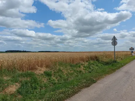Escapade en longère avec jardin au bord de l'Ozanne, Dangeau, 6 pers. - Photo 30