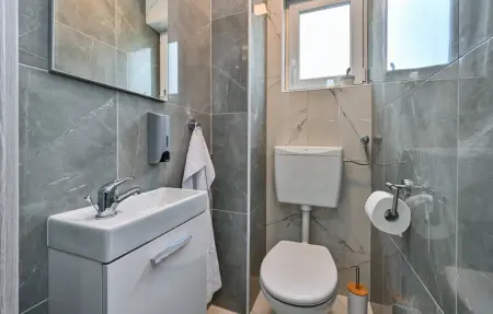 Maison 10 personnes à Vinogradi Ludbreski - Photo 42