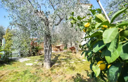 Maison 5 personnes à Massarosa - Photo 12