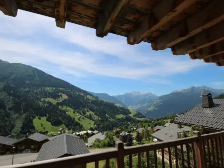 Superbe chalet 12 pers, proche pistes, sauna, animaux, parking - Photo 15