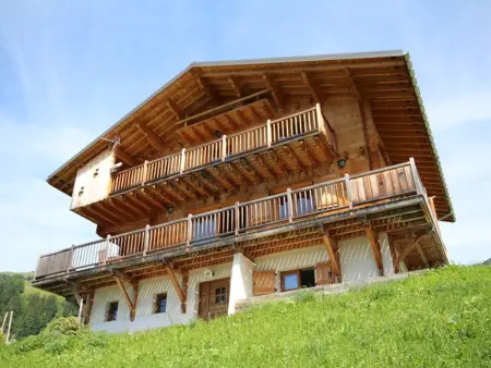 Superbe chalet 12 pers, proche pistes, sauna, animaux, parking - Photo 17