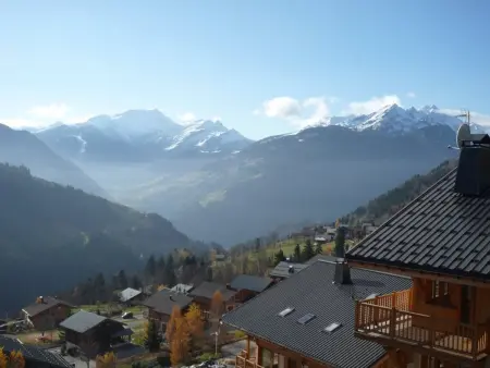Superbe chalet 12 pers, proche pistes, sauna, animaux, parking - Photo 20