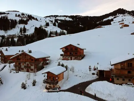 Superbe chalet 12 pers, proche pistes, sauna, animaux, parking - Photo 24