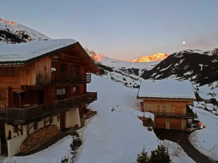 Superbe chalet 12 pers, proche pistes, sauna, animaux, parking - Photo 26