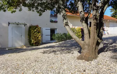 Maison 2 personnes à Rasteau - Photo 5