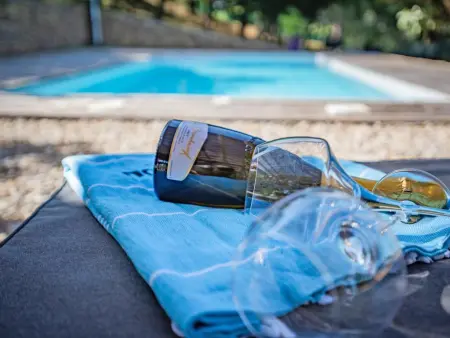 La grande Pinède, 2 Gîtes avec Clim et piscine chauffée, 1km de Faucon - Photo 2